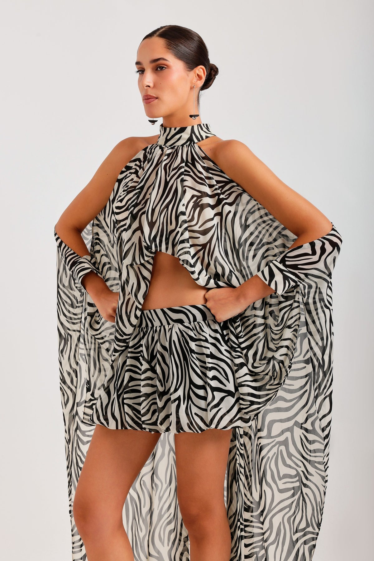 Zebra set — front, alternate